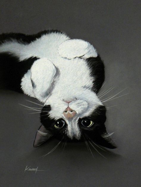 Cat Artwork, White Cats, Cats Illustration, Arte Animal, Cat Portraits, Cat Painting, Cat Drawing, Beautiful Cats, 귀여운 동물