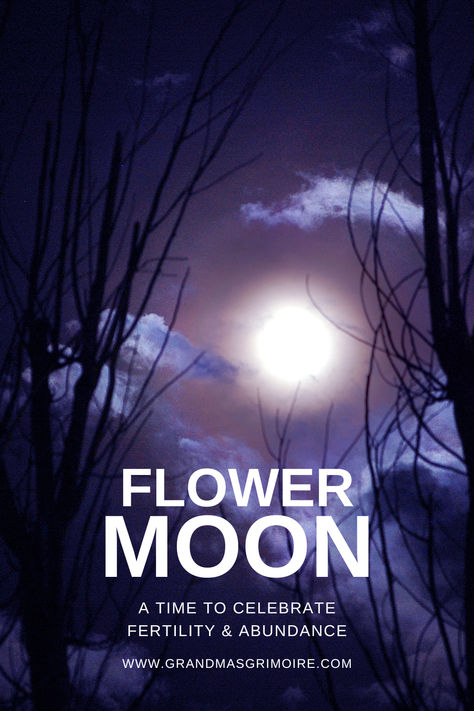 The Flower Moon: Celebrating Fertility and Abundance Full Moon Flowers, Flower Moon Meaning, Fool Moon, Healing Circle, Pagan Practices, Moon Healing, May Full Moon, Moon Meaning, The Wheel Of The Year