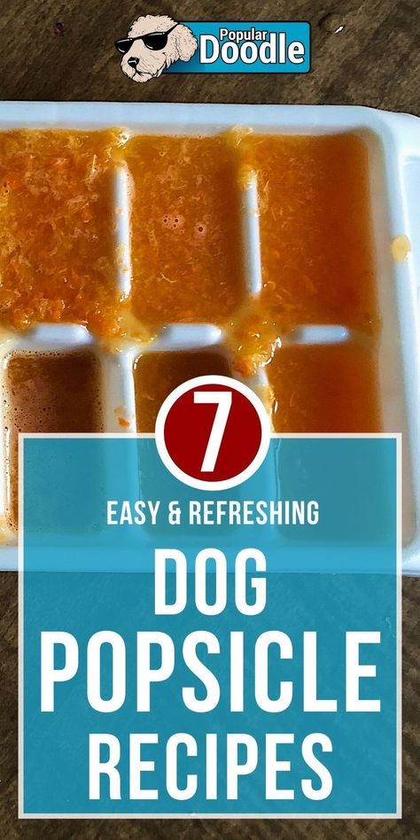 Popsicle For Dogs, Dog Popsicles Recipe Easy, Pupsicle Pops Recipes, Dog Pupcicle, Pupsicles Dogs, Woof Pupsicle Recipes, Pupsicles Dog Treats Recipe, Dog Popsicles Recipe, Diy Frozen Dog Treats