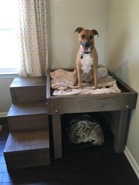 Dog Platform Bed, Dog Bunk Beds, Dog Beds Homemade, Bed Bunk, Diy Pet Bed, Diy Bunk Bed, Crate Furniture Diy, Crate Diy, Dog House Diy