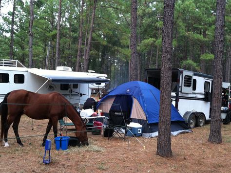 Horse camping - You don't need a fancy LQ to compete in endurance, use what you have Horse Vacations, Camping With Horses, Horse Trekking, Equestrian Properties, Endurance Horse, Van Remodel, Horse Camping, Endurance Riding, Trail Riding Horses