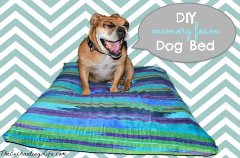 Simple DIY Dog Bed made with a Memory Foam insert. Only $30 and the removable cover makes it washable! Butter Board, Pet Things, Elevated Bed, Pet Projects, Washable Dog Bed, Diy Dog Bed, Bed Bug, Covered Dog Bed, Memory Foam Dog Bed