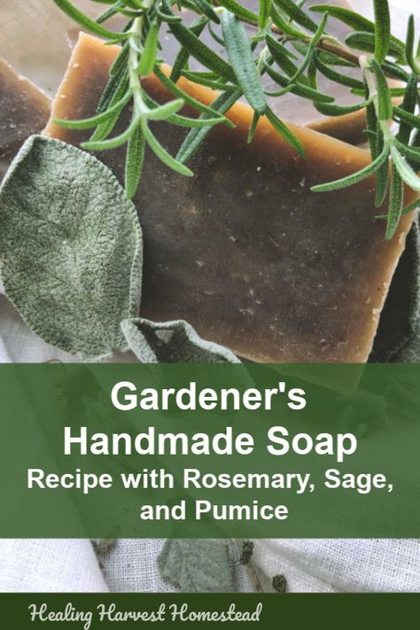 Sage Soap Recipe, Healing Harvest Homestead, Gardeners Cold Process Soap Recipe, Aloe Soap Recipe, Hot Process Soap Recipes, Gardeners Soap Recipe, Antibacterial Herbs, Rosemary Soap, Diy Soap Recipe