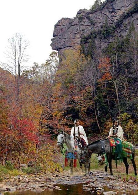 Stone face rock in Lee county ....like you headed to St. Charles ..from Pennington gap Virginia .. Lee County, St Charles, Family Genealogy, Bradley Mountain, Old Pictures, Genealogy, Cool Places To Visit, Native American, Virginia