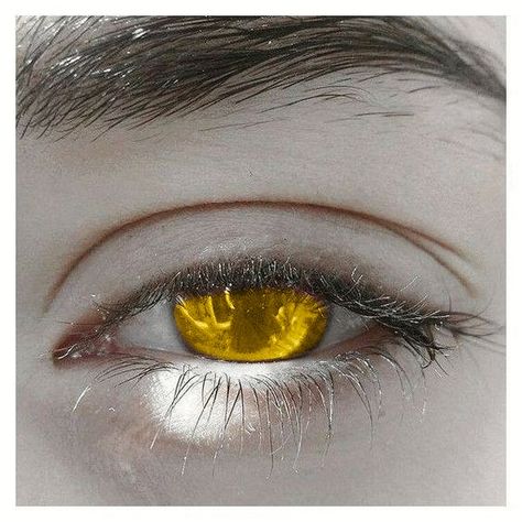 gold eyes // yellow eyes // gold female eyes Gold Eyes Aesthetic, Blood Bag, Iris Eye, Eyes Aesthetic, Charles Xavier, Golden Eyes, Aesthetic Eyes, Gold Eyes, Fantasy Aesthetic