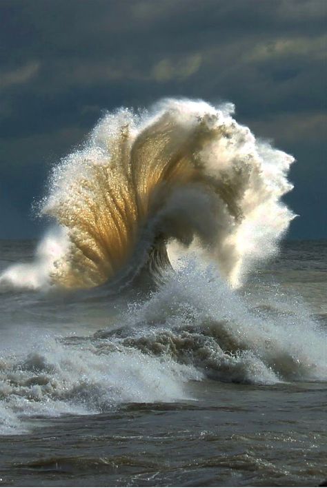 Two waves colliding. ~ Miks' Pics "Waves" board @ http://www.pinterest.com/msmgish/waves/ No Wave, Foto Tips, Jolie Photo, Pics Art, Ocean Waves, Beautiful Photography, Amazing Nature, Nature Beauty, Natural World