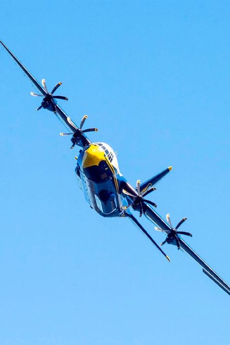 Blue Angles, Us Navy Blue Angels, Fat Albert, C 130, Angels Pictures, Angel Pictures, Blue Angels, U S Navy, Air Show