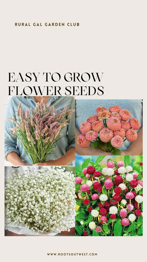 Bright colorful flowers that you can easily grow from seed. Flower garden. Filler Plants For Cut Flower Garden, How To Plant Flowers For Beginners, Cut And Come Again Flowers, Cut Flower Garden For Beginners, Flower Garden For Beginners, Cut Flowers To Grow, Zone 9 Gardening, Garden For Beginners, Grow From Seed