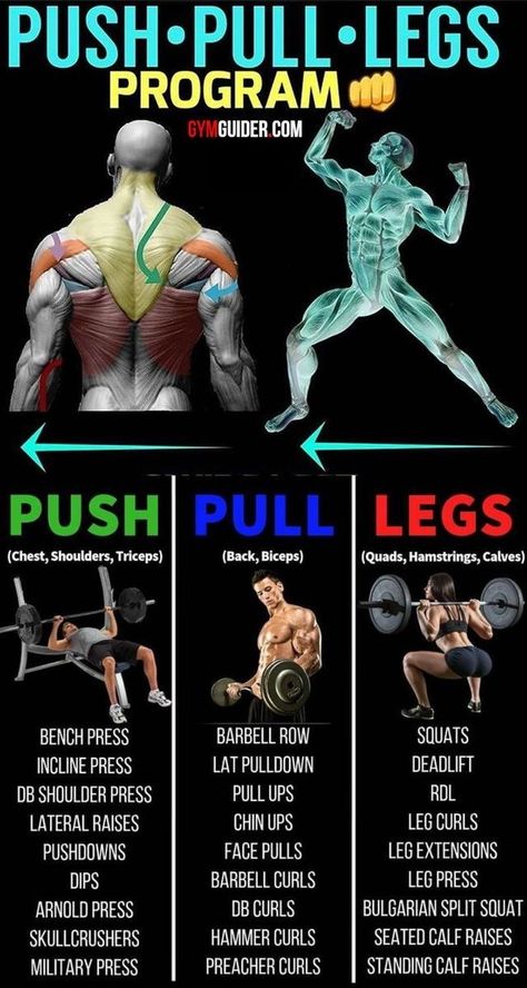 Push Pull Legs Workout, Push Pull Workout, Push Pull Legs, Push Workout, Full Body Workout Routine, Workout Splits, Gym Workout Chart, Weight Training Workouts, Body Workout Plan