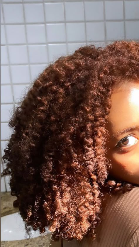 Brown Copper Hair Color Curly, Dark Ginger Natural Hair, Brown Afro Hair Color 4c, Afro Hair Dye Ideas, 4b Dyed Hair, Ginger Brown Curly Hair, Ginger Afro Hair, Ginger Curly Hair Black Women, Dark Ginger Curly Hair