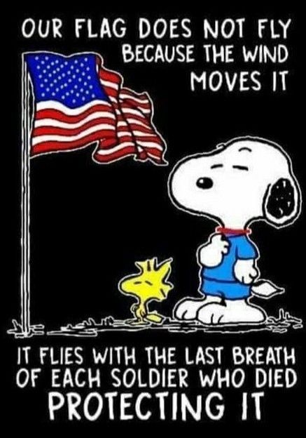 Army Usa, Patriotic Pictures, Thank You Veteran, Snoopy Cartoon, Snoopy Funny, Snoopy Images, Peanuts Cartoon, I Love America, Snoopy Quotes