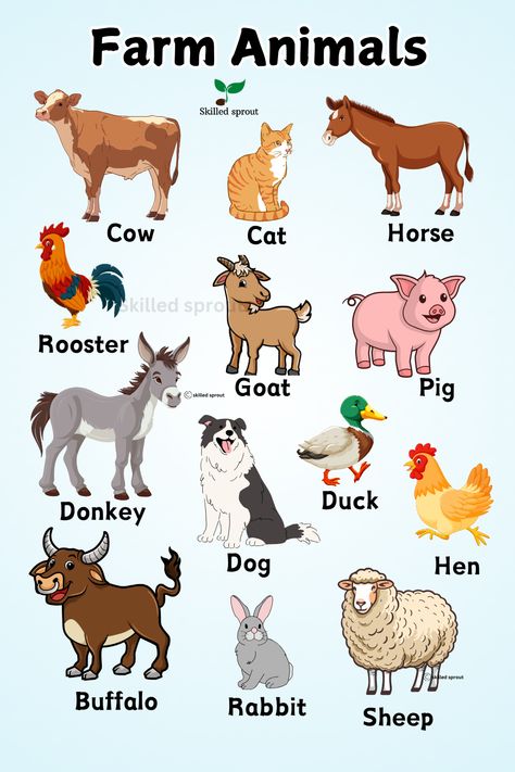 Farm animals chart for kindergarten children to see and learn the names of farm animals.#farmanimal #kindergarten #cuteanimalart #kidslearn Pet Animals Chart, Where To Pet Animals Chart, Animal Farm Character Chart, Farm Animals List, Animals And Their Sounds, Animals Chart, Farm Animals And Their Babies, Farm Animals For Kids, Farm Animals Pictures