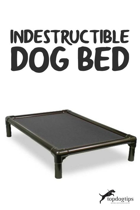 We've reviewed and ranked the top best chew-proof dog beds that are chew-proof to varying degrees. Here's what we found. Chew Proof Dog Bed Diy, Indestructible Dog Bed, Outside Dog Bed, Bed Alternatives, Chew Proof Dog Bed, Durable Dog Bed, Raised Dog Beds, Indestructable Dog Bed, Airbnb Ideas