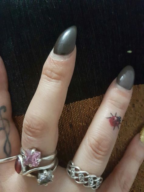 Ladybug Finger Tattoo, Ladybug Hand Tattoo, Bug Finger Tattoo, Ladybug And Butterfly Tattoo, Ladybird Tattoo, Ladybug Tattoo, Thumb Tattoos, Blue Butterfly Tattoo, Tattoo Finger