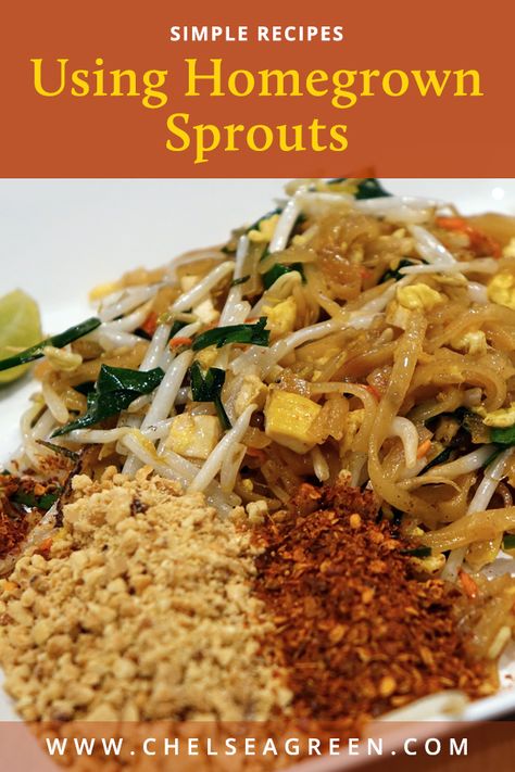 How To Use Sprouts, Sprouts Recipes, Growing Sprouts, Winter Foods, Winter Veggies, Homestead Kitchen, Winter Meals, Homegrown Food, Broccoli Sprouts