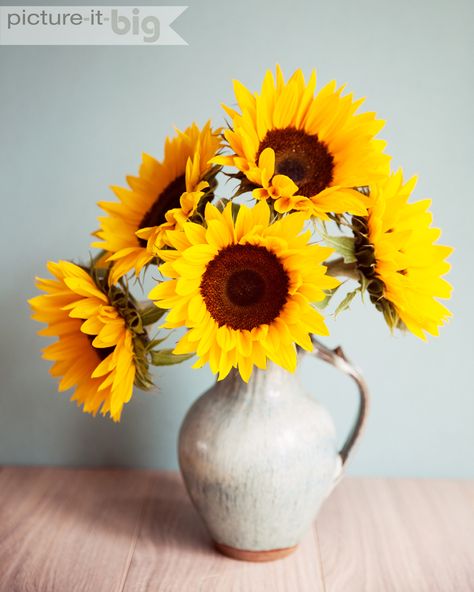 Sunflower In A Pot Drawing, Sunflower Floral Arrangements Rustic, Sunflower In A Vase, Sunflower In Vase, Sunflower Bouquet Vase, Sunflowers In Vase, Sunflowers Still Life Photography, Vase Of Sunflowers, Sunflower Still Life Painting