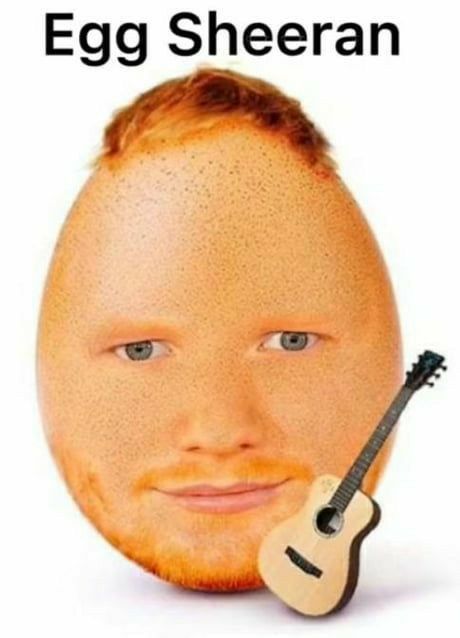 Egg Sheeran, Ed Sheeran Memes, Photoshopped Animals, Funny Pix, Funny Doodles, Memes Humor, Very Funny Pictures, Navy Seals, Really Funny Pictures