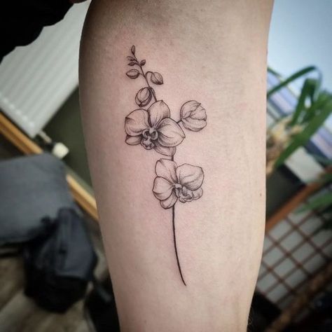 85+ Amazing Orchid Tattoos Designs with Meanings, Ideas, and Celebrities 3 Orchid Tattoo Ideas, Orchid Tattoo Meaning, Orchid Flower Tattoos, Men Flower Tattoo, Guitar Tattoo Design, Orchid Tattoo, One Piece Tattoos, Small Flower Tattoos, Pieces Tattoo