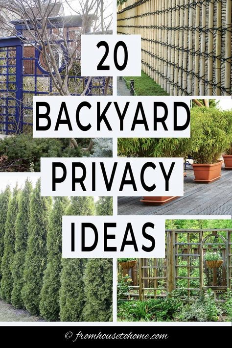 Backyard Privacy Ideas, Yard Privacy, Privacy Ideas, Dish Art, Patio Privacy, Privacy Landscaping, Too Close For Comfort, Garden Privacy, Backyard Privacy