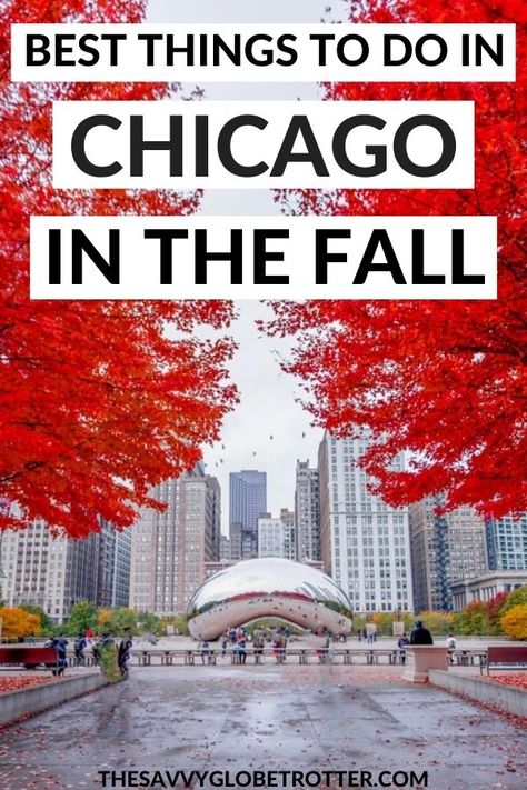 Best Things to Do in Chicago In The Fall (From A Local!) Chicago In October Things To Do In, Date Ideas Chicago, Chicago In The Fall, Chicago In November, Things To Do In Illinois, Chicago With Kids, Bus App, Travel Chicago, Chicago Fall