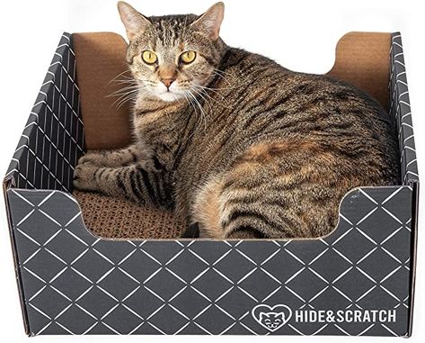 Hide & Scratch: Extra-Large Heavy Duty Cardboard Cat Scratcher and Lounger Box with Refillable Scratch Pad - Multiple Colors Cat Doors, Cardboard Cat Scratcher, Cat Litter Boxes, Cardboard Cat, Cat Essentials, Cat Scratchers, What Cat, Cat Things, Amazon Wishlist