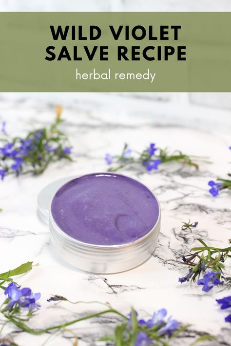 Dive into the world of natural skincare with our Wild Violet Salve recipe! Harness the healing power of herbs and create your own DIY salve for glowing skin. Discover the benefits of wild violets and embrace holistic wellness today. #WildVioletSalve #HerbalRemedies #DIYskincare Mullien Leaf Salve, Mullein Salve Recipe, Goldenrod Salve Recipe, Violet Salve, Sage Salve, Diy Salve, Herbal Salve Recipes, Violet Recipes, Healing Salve Recipe