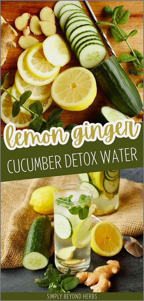 Refresh yourself with lemon ginger cucumber detox water. This infused drink combines the refreshing taste of cucumbers with the zing of lemon and ginger, helping to detoxify your body and keep you hydrated. Perfect for digestion and electrolyte replenishment. Find more electrolyte drink recipes, hydration drink recipes, agua fresca recipes, and Healthy Recipes & Healthy Cooking at simplybeyondherbs.com. Ginger Cucumber Lemon Water, Fresca Recipes, Lemon Ginger Detox Water, Ginger Detox Water, Electrolyte Drink Recipe, Lemon Ginger Water, Cucumber Infused Water, Lemon Water Recipe, Cucumber Lemon Water