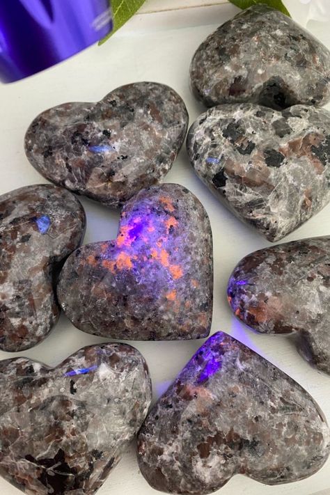 Yooperlite is a syenite rock that contains fluorescent sodalite, which is what gives it that unique glow under UV (black) lighting.
Yooperlite is best known for supporting:
Inner peace
Self-acceptance
Self-confidence
Truth
#yooperlite #uvcrystals #uvstones #blacklightstones #heartcrystals #heartstones #crystals  #palmstones
#instacrystals #gemstones #crystalstore #crystalstones #crystalshops #crystalshopping #crystalshop #crystalsforsale #crystalseller Yooperlite Rocks, Black Lighting, Glow Stones, Crystals Store, Crystals For Sale, Stone Heart, Crystal Shop, The Stone, Crystal Heart