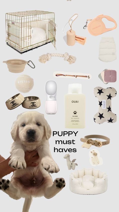 Dog Supplies List, Puppy Items, New Puppy Checklist, Puppy Checklist, Puppy Room, Cute Dog Toys, Dog Accesories, Service Dogs Gear, Puppy Mom