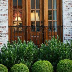 Designing a Foundation Planting Scheme | Grow Beautifully Boxwood Landscaping, Front Yard Plants, Plans Architecture, Foundation Planting, Front Landscaping, Garden Shrubs, Front House Landscaping, Iron Fence, Yard Design