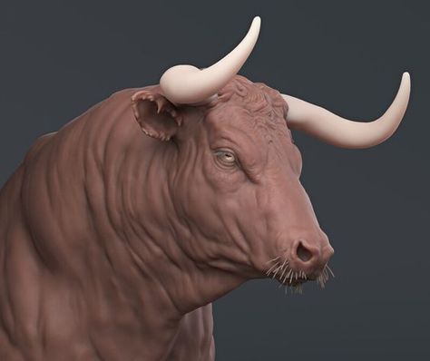 Practicing Anatomy, Bull Artwork, African Buffalo, Longhorn Cattle, Digital Sculpting, Anatomy Study, A Bull, Guided Drawing, Animal Sketches