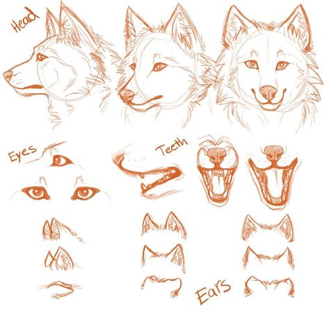 Wolf Sketch, Wolf Drawing, Canine Art, Animal Sketches, Wolf Art, Dog Drawing, Drawing Techniques, Art Reference Photos, Art Reference Poses