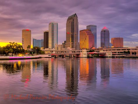 Tampa Skyline, Phone Widget, University Of Tampa, Linkedin Banner, Scenic Pictures, Urban Aesthetic, Land Of The Free, 5 Image, Cityscape Painting