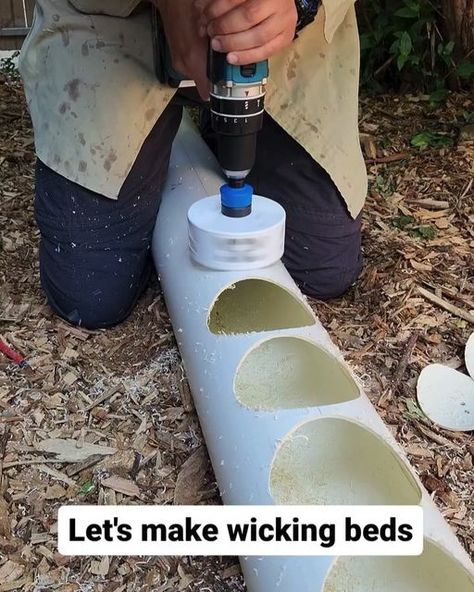 gardeningfram on Instagram: "Wicking bed build - These are very simple to make and are a very sensible water saving solution in the Australian il Nino context! These beds will be used to  grow an abundance of herbs and salad greens, and a ton of strawberries 🍓   Once the archway is overtaken by pumpkin vines and full sun cannot be achieved, we will swap out some of the full sun herbs for shade lovers! It's an ingenious system that is easily adapted with very little effort!  Credit: plantbasedmale Follow @gardeningfram  What is your favorite shirt⁠ 💥 𝗦𝗛𝗢𝗣 𝗡𝗢𝗪 🔥𝗟𝗜𝗡𝗞 𝗜𝗡 𝗠𝗬 𝗕𝗜𝗢 👆🏻 𝗦𝗵𝗶𝗽𝗽𝗶𝗻𝗴 ✈️⁠  #gardening #urbangardening #organicgardening #gardeninglife #gardeningtips #gardeningisfun #gardeningaustralia #containergardening #indoorgardening #thehappygardeninglife Water Saving Garden Ideas, Self Watering Garden Beds, Vegetable Gardens Ideas Backyard, Strawberry Garden Beds, Full Sun Herbs, Herb Garden Ideas Outdoor, Veggie Garden Ideas, Raised Vegetable Beds, Wicking Garden Bed