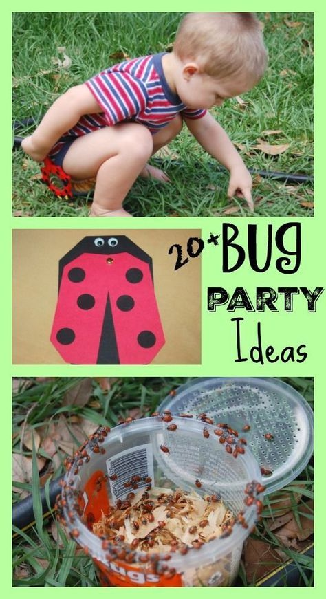 BUG Birthday Party Ideas for Kids - includes 20+ Bug Crafts, Bug Recipes, and creative live BUG releasing ideas for the most epic kid's party ever! LOVE this post! Pin now for later. #kidsbirthdayparty #kidsparty #bugparty Bug Birthday Party Ideas, Bug Birthday Party, Bug Craft, Birthday Cake Tutorial, Birthday Party Ideas For Kids, Bug Party, Party Ideas For Kids, Bug Crafts, Nutter Butter