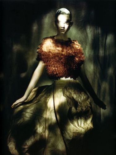 ☽ Dream Within a Dream ☾ Misty Blurred Art & Fashion Photography - Paolo Roversi Jean Paul Goude, Sarah Moon, Lara Stone, Mode Editorials, Paolo Roversi, Robert Mapplethorpe, Alfred Stieglitz, Tim Walker, Natalia Vodianova