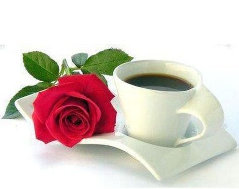 Free Good Morning Images, Good Morning Roses, Good Morning Cards, Good Morning Picture, Good Morning Love, Good Morning Coffee, Morning Pictures, A Cup Of Coffee, Good Morning Good Night