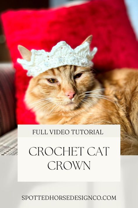 FREE CROCHET PATTERN. Learn how to crochet a cat crown. This detailed video tutorial walks you step by step through the process. You will learn how to crochet with beads. If you do not wish to use beads, there is an alternate version shown without beads. Crochet Cat Crown Free Pattern, Crochet Cat Outfits Free Pattern, Easy Crochet Cat Hat, Crochet Hat For Cat Pattern Free, Crochet Cat Hat Pattern Free, Cat Outfits Pets, Cat Hat Pattern, Crochet Cat Hat, Knitted Mittens Pattern