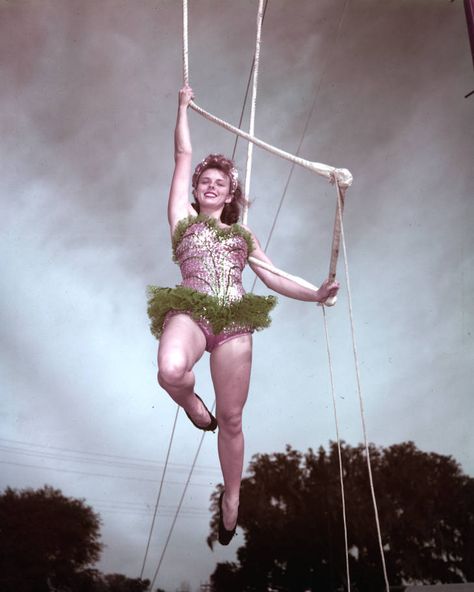 Woman college student trapeze artist, Florida State University's Flying High Circus, Tallahassee, Florida, June 16, 1952. - Atlanta Journal-Constitution Photographs - Georgia State University Library Digital Collections Vintage Trapeze Artist, Circus Aerialist, Circus Trapeze, Trapeze Artist, Georgia State University, Tallahassee Florida, University Library, Georgia State, Flying High