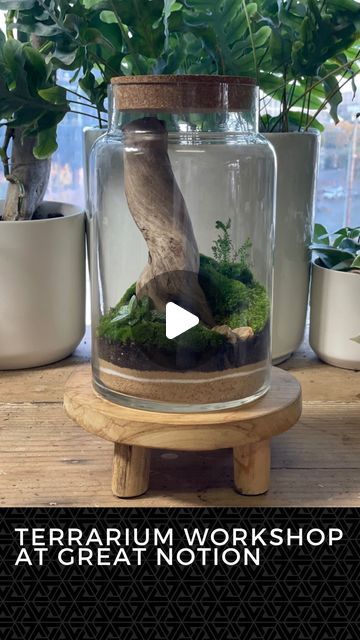 JOHNATHON Q SWANSON on Instagram: "***Due to high demand we’ve added extra spots to our next terrarium workshop, but get them now before it’s all filled up!***

Join us on December 6th from 6-8pm at @greatnotionoregon in Beaverton for our next terrarium workshop! 

This workshop is perfect for all experience levels whether you’re a beginner or expert terrarium enthusiast. It includes everything you need to make your very own version of the terrarium shown here. Materials included are:  - Large 9in terrarium with cork lid  - Terrarium sand  - Terrarium soil  - Activated horticultural charcoal  - Variety of moss  - Variety of tropical plants  - Decorative driftwood and rocks 
And don’t forget your first Great Notion pint is included in the registration! 

Johnathon Q Swanson is hosting the c Horticultural Charcoal, Sand Terrarium, Terrarium Soil, Terrarium Workshop, Cork Lid, Cactus Succulents, Tropical Plants, Terrarium, Be Perfect