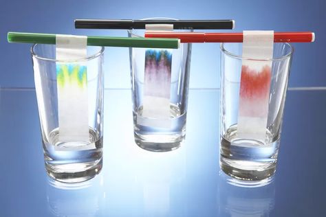 Make Paper Chromatography With Leaves Chromatography Experiment, Paper Chromatography, Gas Chromatography, Popular Science, Diy Plants, Science Lessons, Writing Tools, Science Projects, Science Activities