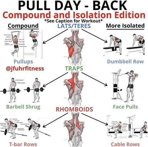 Effective Full Body Workout, Full Body Workout Challenge, Pull Day Workout, Total Body Workout Routine, Deadlift Variations, Exercise Moves, Posterior Chain, Full Body Workout Routine, Workout Splits