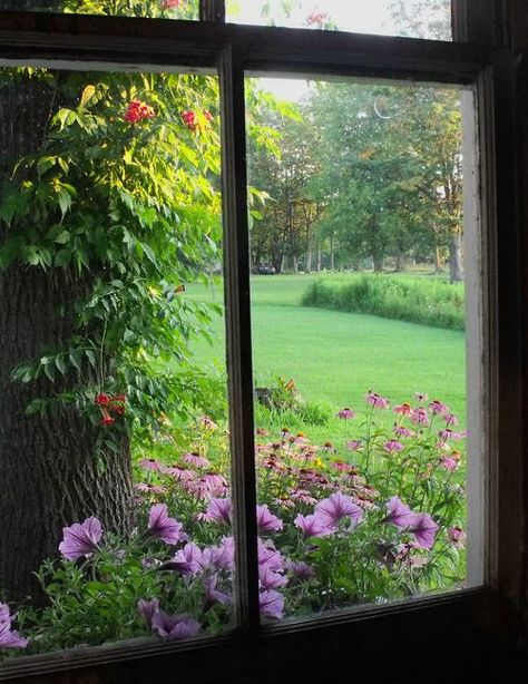 Beautiful view Gardeners Cottage, Window Backdrop, Fake Window, Windows 1, Looking Out The Window, Beautiful Windows, Window View, Beautiful Villages, Through The Window