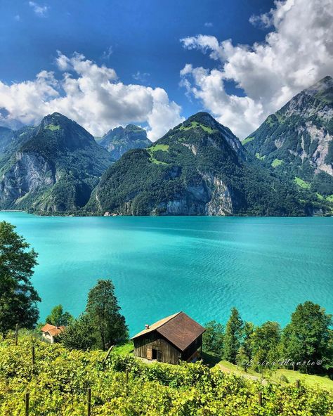 Lake Lucerne, Lucerne: Switzerland has a bounteous array of beautiful lakes, but Lake Lucerne has traits that make it stand out: the pretty city of Lucerne, where water flowing into the lake passes beneath the 13th-century Chapel Bridge; a stupendous panorama that begins with Mt. Rigi, spans snow-capped Alps peaks such as Eiger and Jungfrau, and concludes with Mt. Pilatus; and vintage steamboats that have been plying its waters since the mid-1800s. - Fodor's Travel Lake Lucerne Switzerland, Switzerland Summer, Switzerland Destinations, Lake Lucerne, Quran In English, Switzerland Cities, Semester Abroad, Lucerne Switzerland, Summer Road Trip