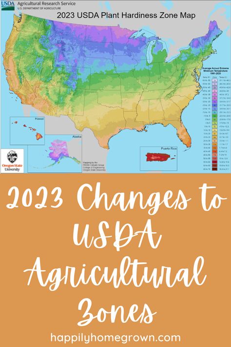 The USDA has updated the agricultural zones/plant hardiness maps for the first time in over a decade. Did your zone change? Usda Plant Hardiness Zone Map, Zone Map For Gardening, Usda Hardiness Zone Map, Plant Zone Map, Usda Zones Maps, Grow Zones Map, Flower Zones Map U.s. States, Growing Zones Map United States, Zone Planting Map