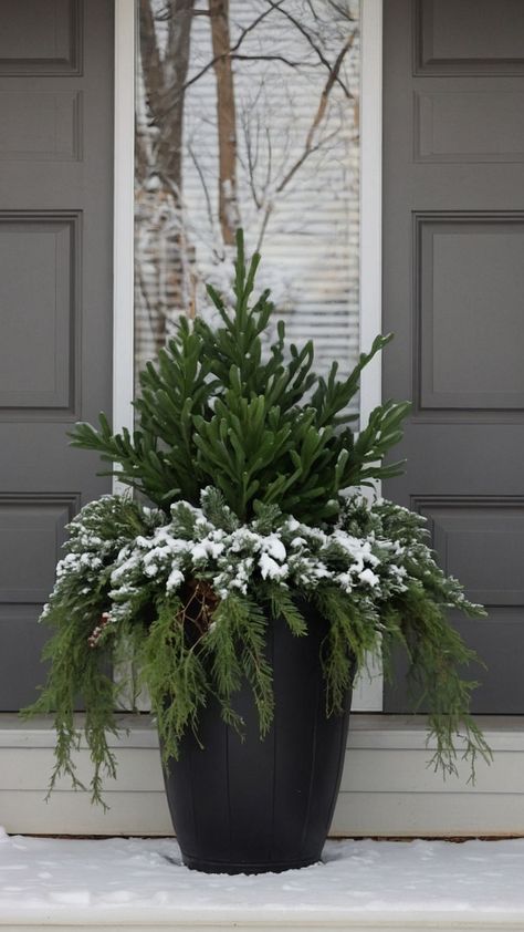 Transform your front porch with stunning winter planters Discover easy DIY ideas for simple fake tall Christmas outdoor planters using faux birch branches late lanterns and farmhouse charm Perfect for the holidays with an array of beautiful pansies Winter Outdoor Flower Pot Ideas, Fall Outdoor Pots Ideas, Extra Large Planters Outdoor Ideas, Front Porch Trees Planters, Winter Urns Outdoor Planters, Holiday Planters Front Porches, Outdoor Winter Planter Ideas, Winter Pots Outdoor Planters, January Porch Decor