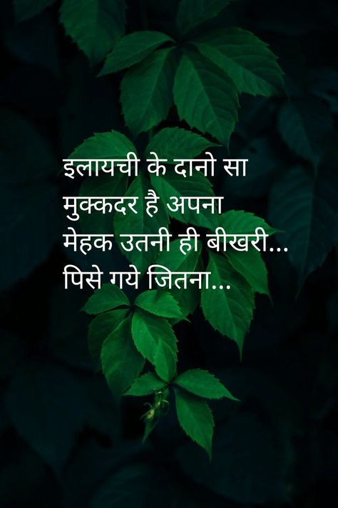 Hidden Agenda Quotes, Quotes On People, Elf Font, Agenda Quotes, Agriculture Quotes, Sms Jokes, Hindi Poem, Quotes People, Motivational Poems