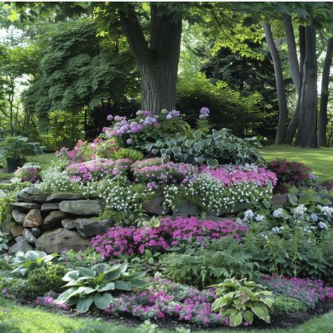 Pretty Plants For Front Yard, Round Flower Bed Ideas In Front Of House, Gardens With Rocks Flower Beds, Landscaping Beds Around House, Landscape Beds Front Yards, Symmetrical Garden Design, Landscaping Around Trees Ideas, Midatlantic Landscaping, Tiered Flower Beds Landscape Design