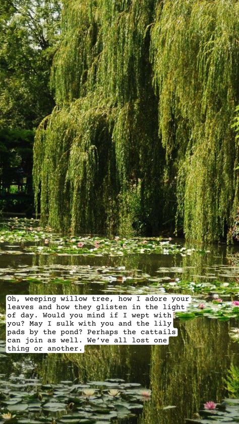 willow tree poem Willow Tree Aesthetic, Willow Trees Garden, Tree Poem, Willow Tree Tattoos, Tree Aesthetic, Tree Quotes, Willow Trees, Weeping Willow Tree, Weeping Willow