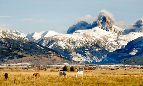 Tetonia Idaho, Idaho Scenery, Driggs Idaho, Explore Idaho, Mountain People, Farm Scenes, Ranch Farm, Dude Ranch, Travel Wishlist